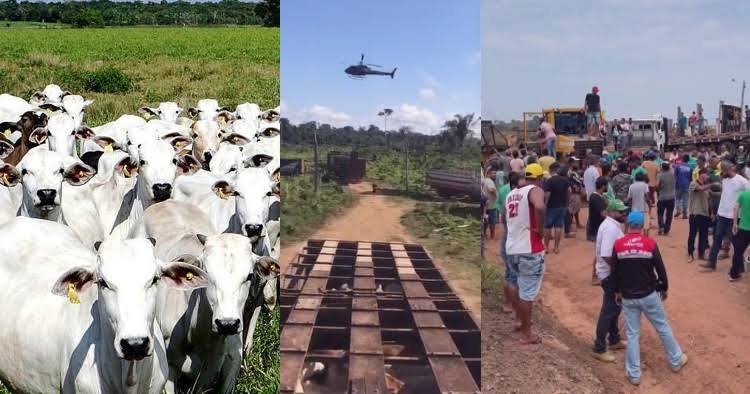 No momento, você está visualizando Ibama apreende 3 mil cabeças de gado em áreas embargadas no Sul do Amazonas