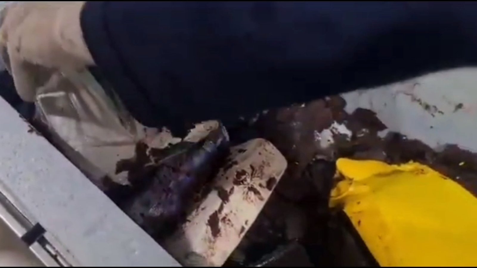 No momento, você está visualizando Jovem tenta sair de Manaus com maconha em polpas de açaí e é presa no aeroporto